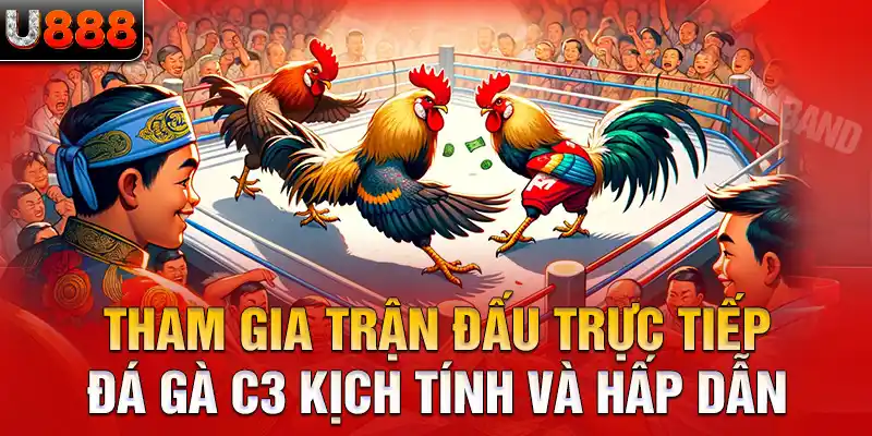 Tham gia trận đấu trực tiếp đá gà C3 kịch tính và hấp dẫn