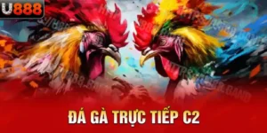 đá gà trực tiếp C2