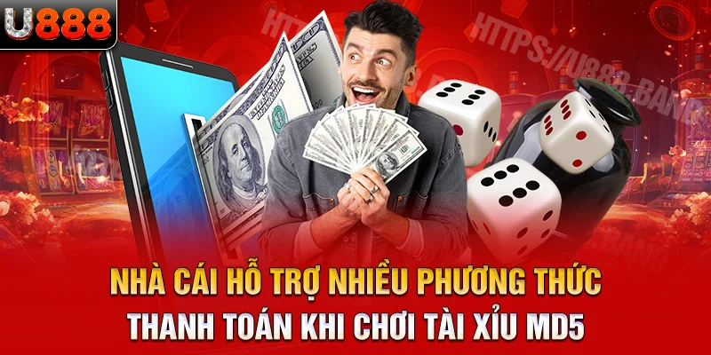 nhà cái hỗ trợ nhiều phương thức thanh toán khi chơi tài xỉu md5 