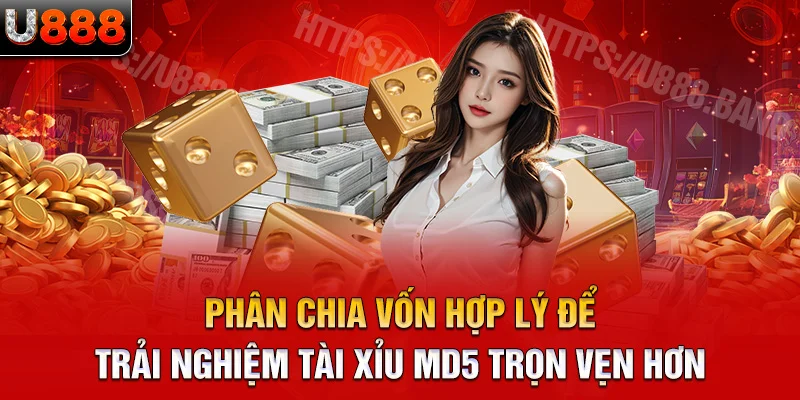 phân chia vốn hợp lý để trải nghiệm tài xỉu md5 trọn vẹn hơn