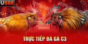 trực tiếp đá gà C3